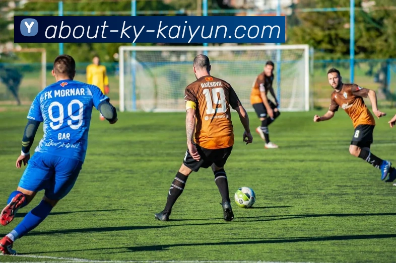 开云app平台生态图