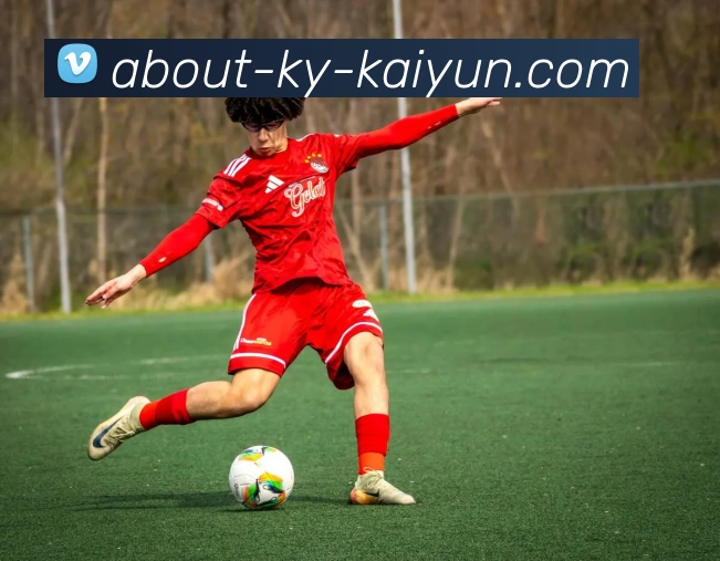 开云appAPP 封面图